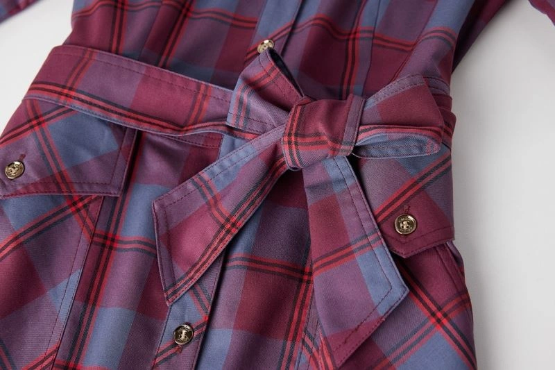 Resilient Burberry Dress 104756