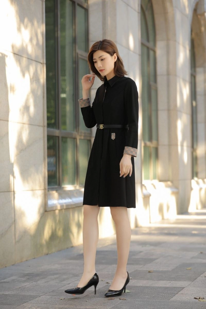 Classic Burberry Dress 104748