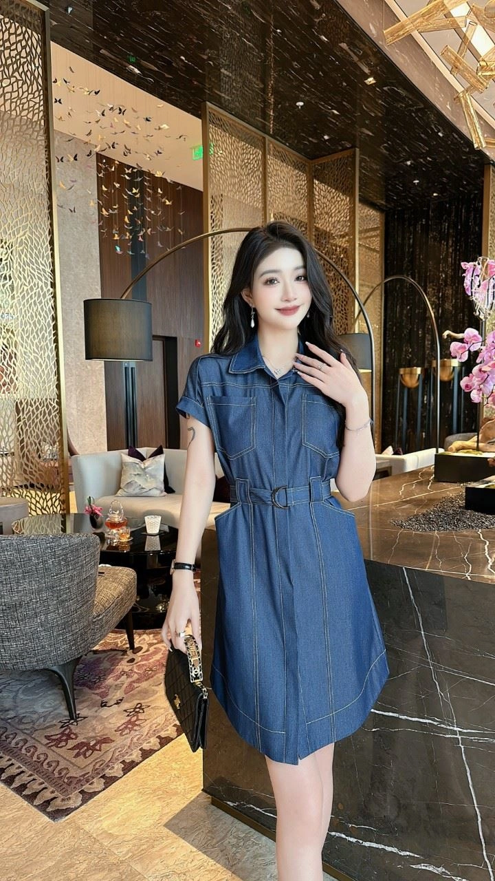 FlexibleFit Burberry Dress 104741