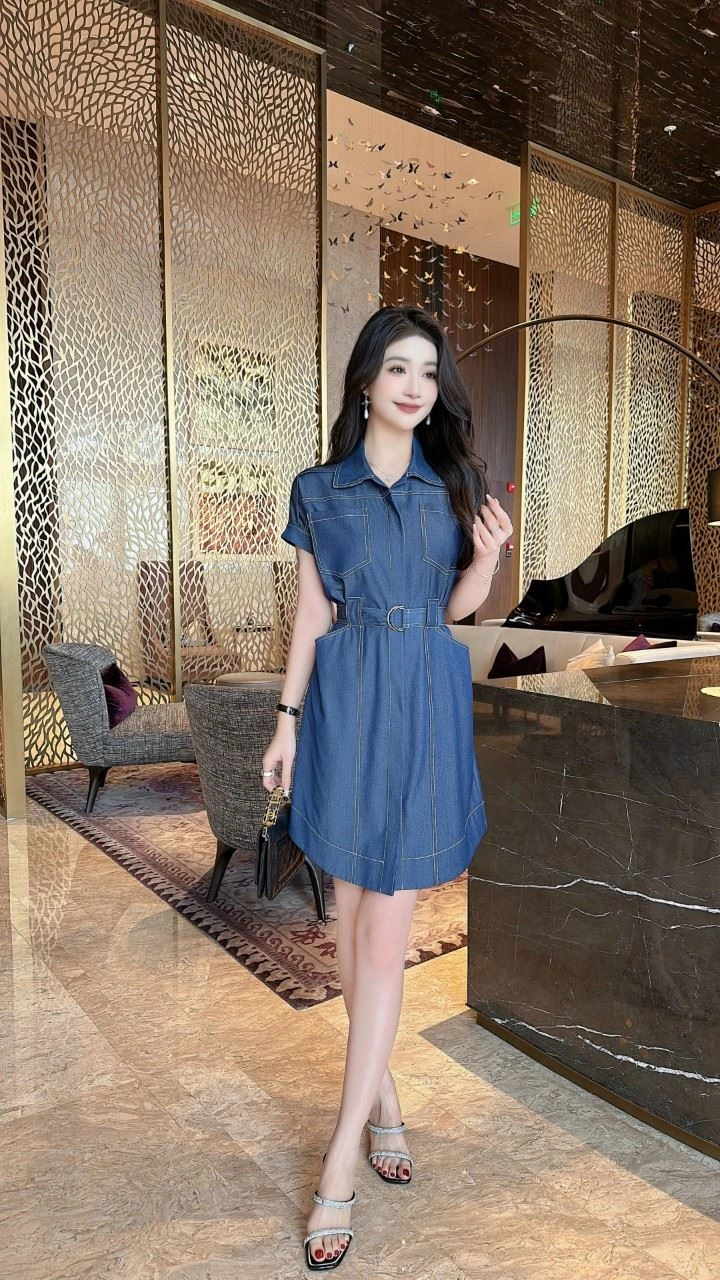 FlexibleFit Burberry Dress 104741