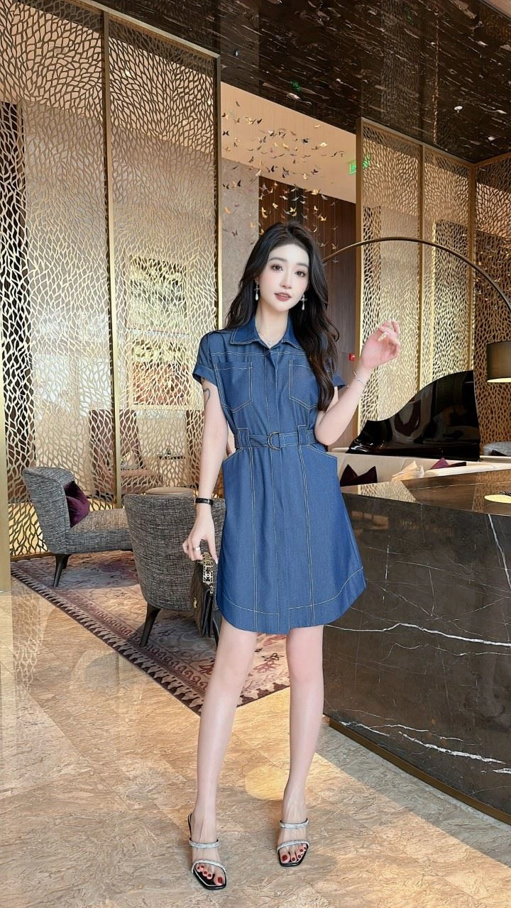 FlexibleFit Burberry Dress 104741