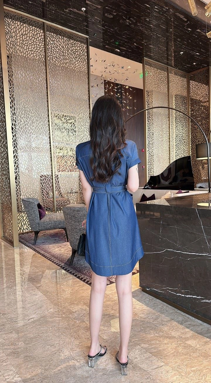 FlexibleFit Burberry Dress 104741