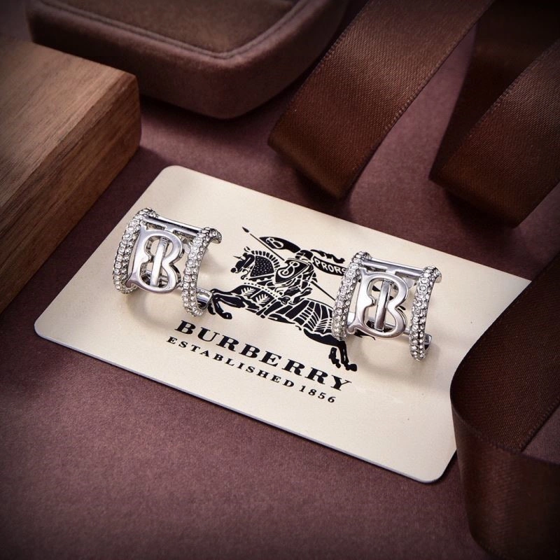 Neat Burberry Earrings 208861
