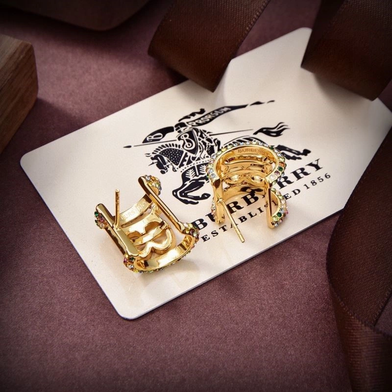 Neat Burberry Earrings 208861
