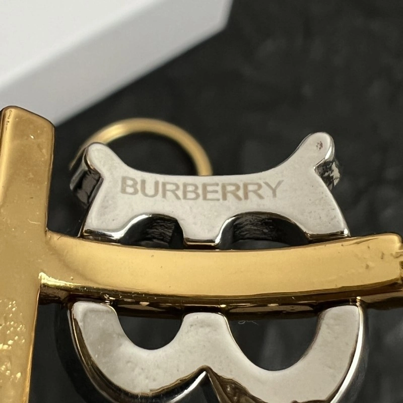 Burberry Earrings Chic 208148