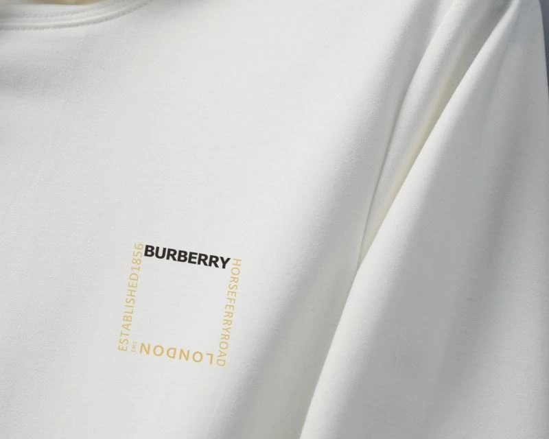 Burberry Hoodies MultiPurpose 105788
