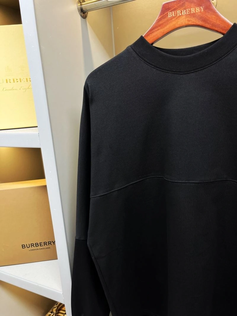 GoAnywhere Burberry Hoodies 103300
