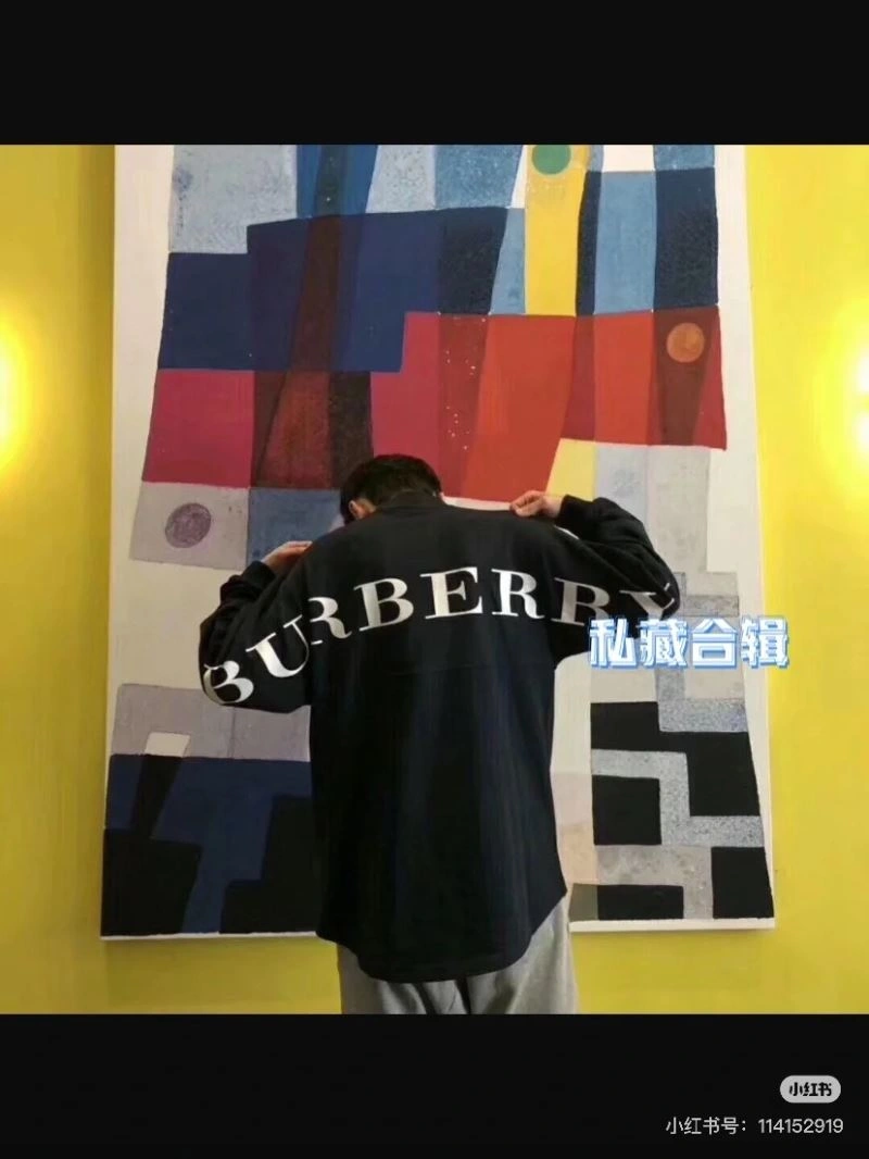 GoAnywhere Burberry Hoodies 103300