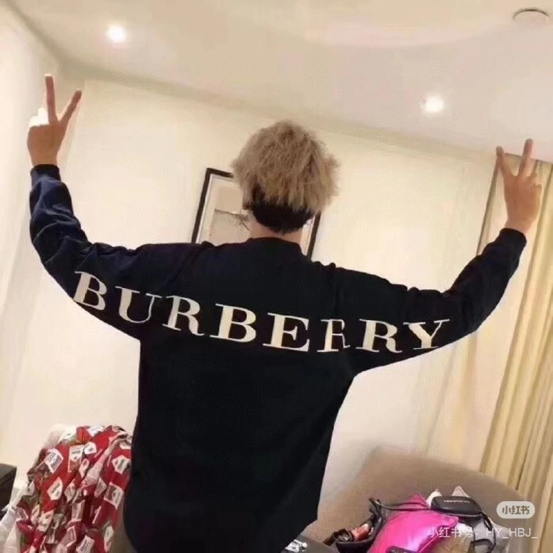 GoAnywhere Burberry Hoodies 103300