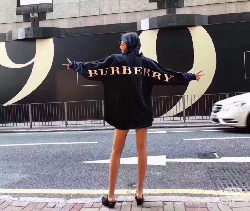 Burberry Hoodies Compact 103301