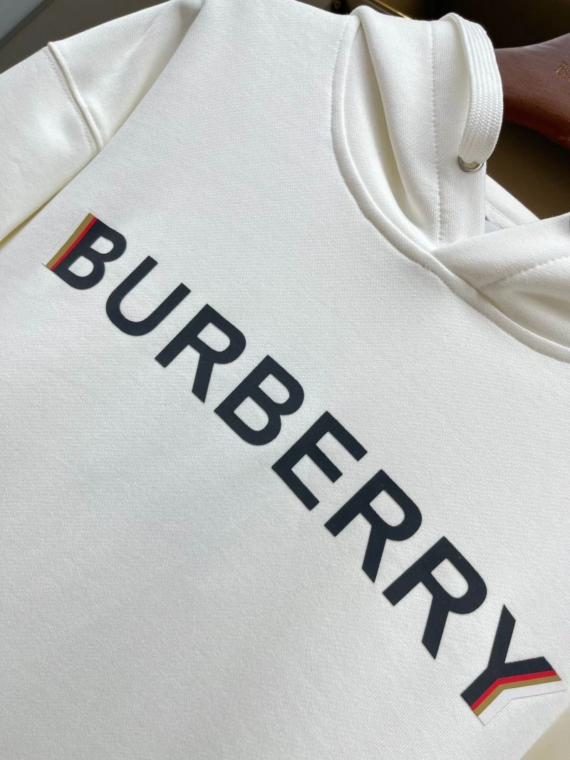 Neat Burberry Hoodies 103311