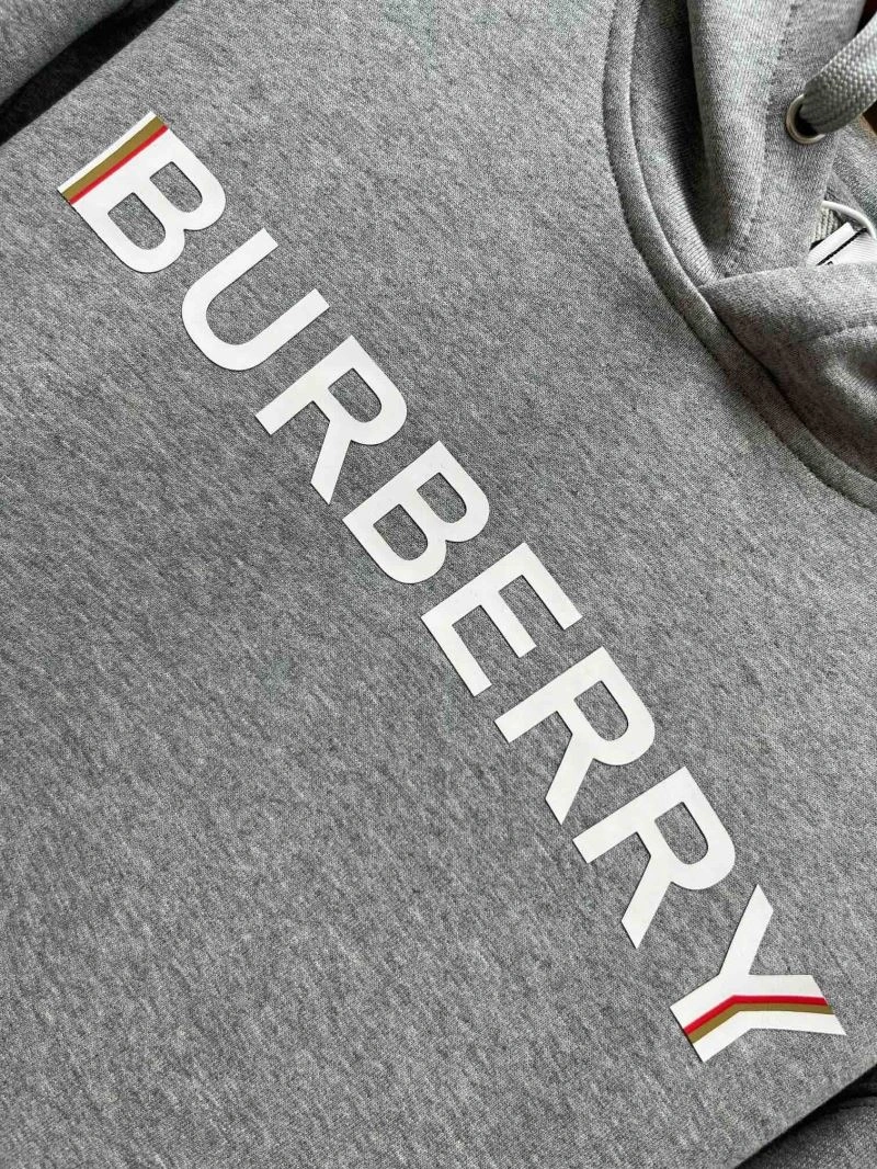 Burberry Hoodies Popular 103290