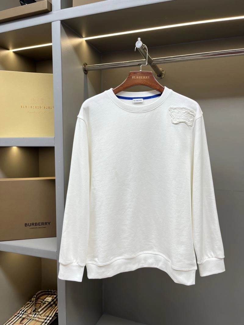 Burberry Hoodies Practical 103283