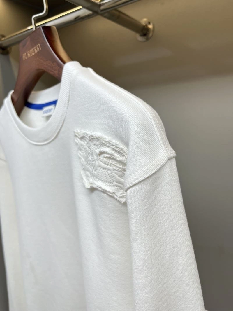 Burberry Hoodies Practical 103283