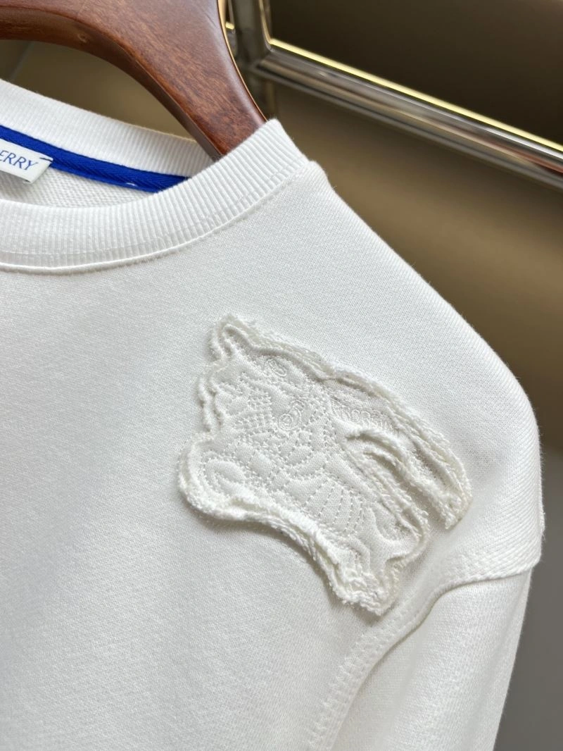 Burberry Hoodies Practical 103283