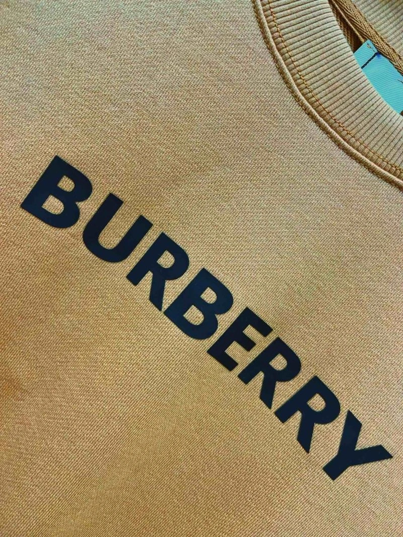 Burberry Hoodies Supportive 103261