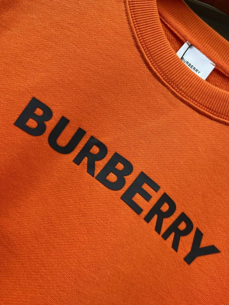 Lightweight Burberry Hoodies 103256