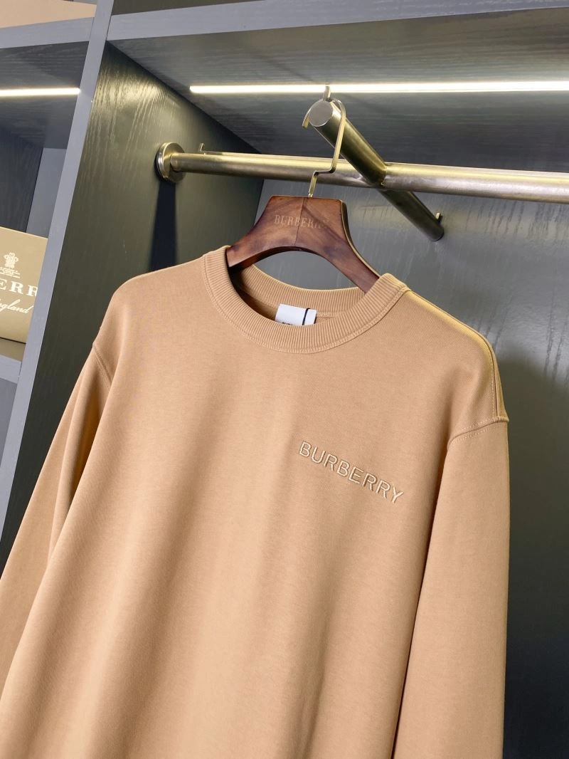 Practical Burberry Hoodies 103257