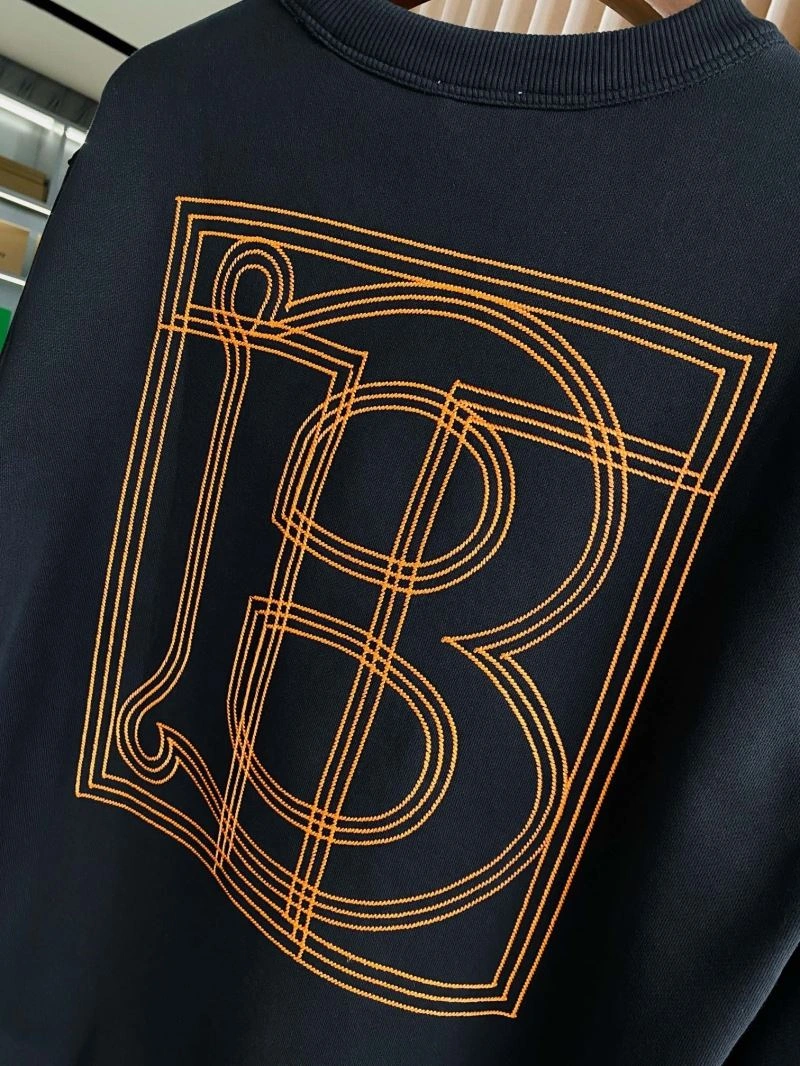 Affordable Burberry Hoodies 103219