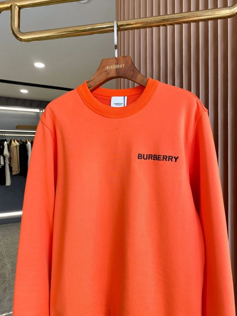 Burberry Hoodies AllSeason 103244