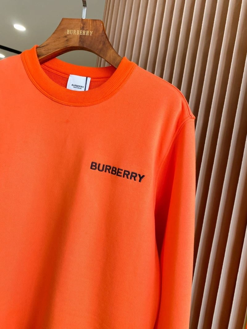 Burberry Hoodies AllSeason 103244