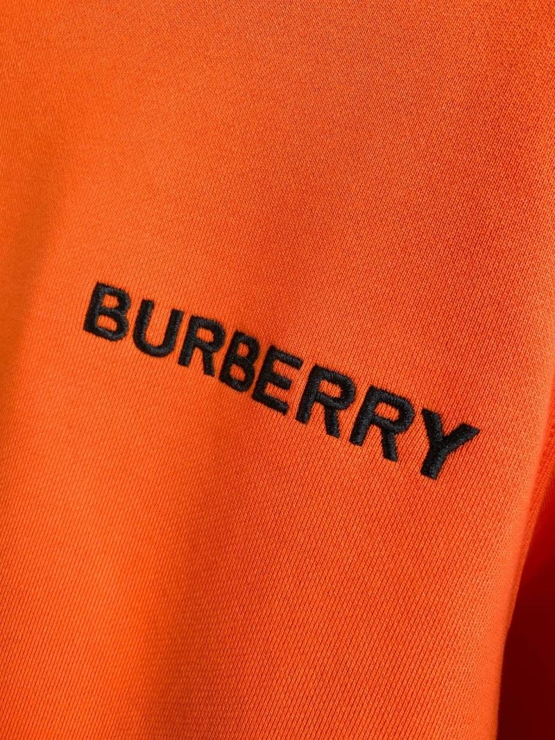 Burberry Hoodies AllSeason 103244