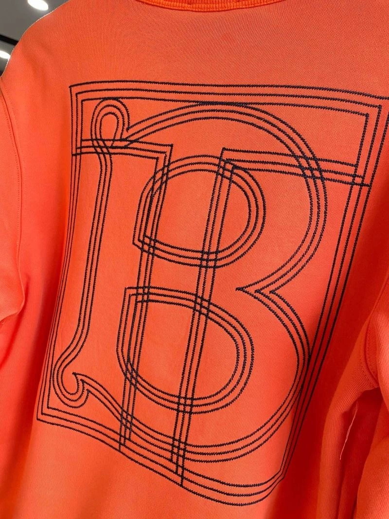 Burberry Hoodies AllSeason 103244