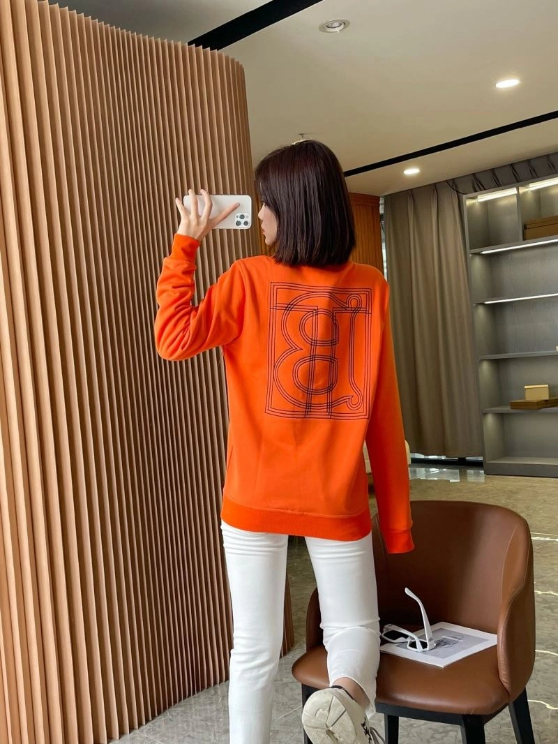 Burberry Hoodies AllSeason 103244
