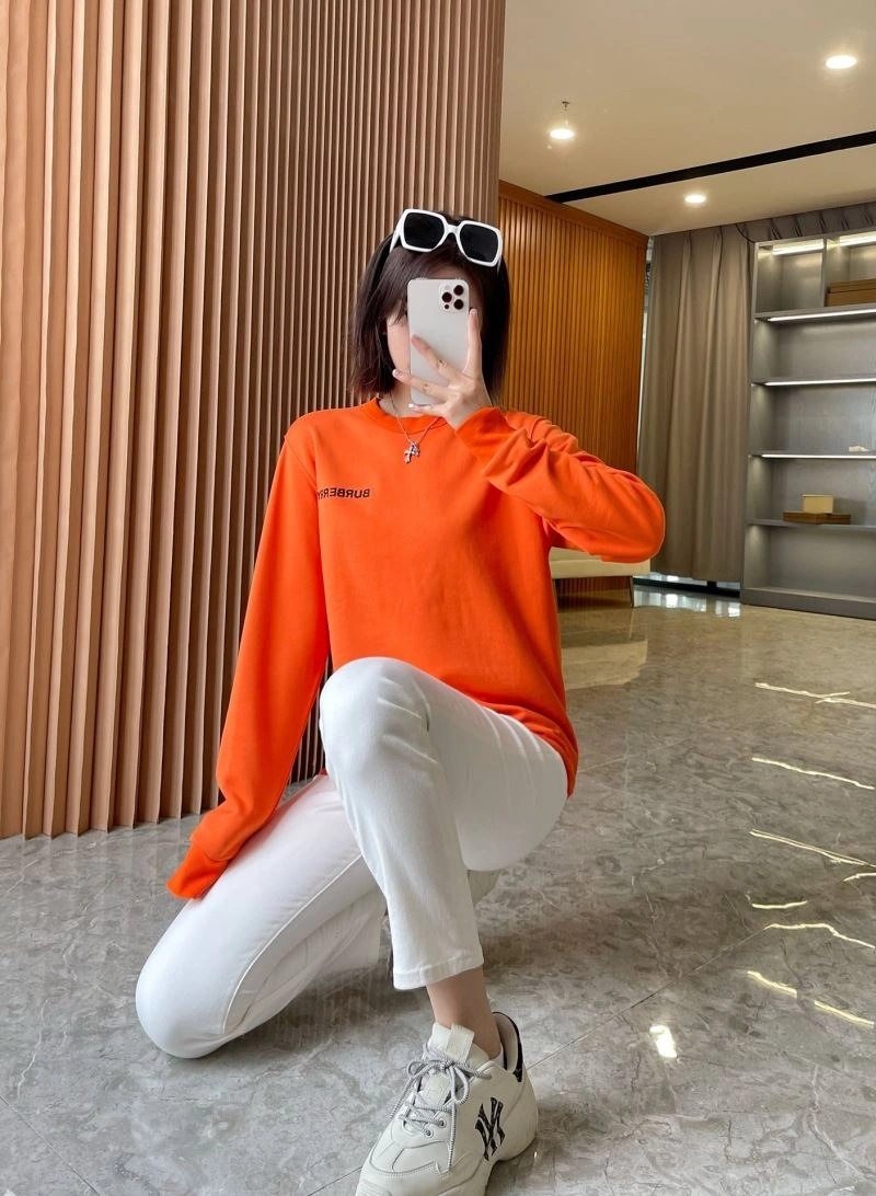Burberry Hoodies AllSeason 103244