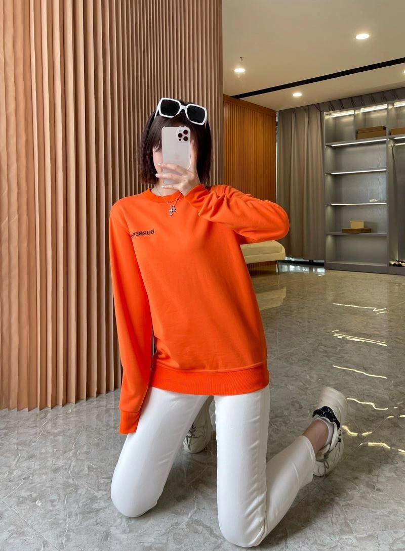 Burberry Hoodies AllSeason 103244