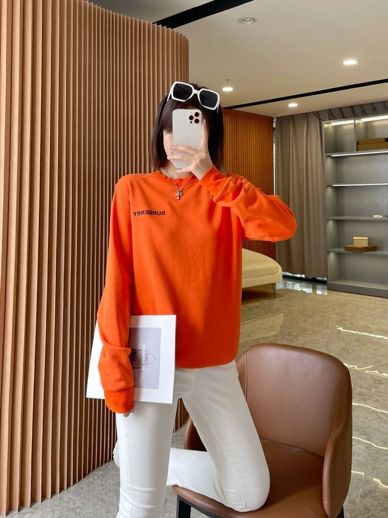 Burberry Hoodies AllSeason 103244
