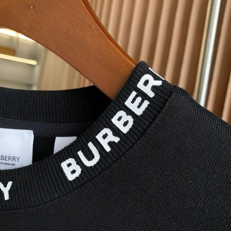 Burberry Hoodies EyeCatching 103227