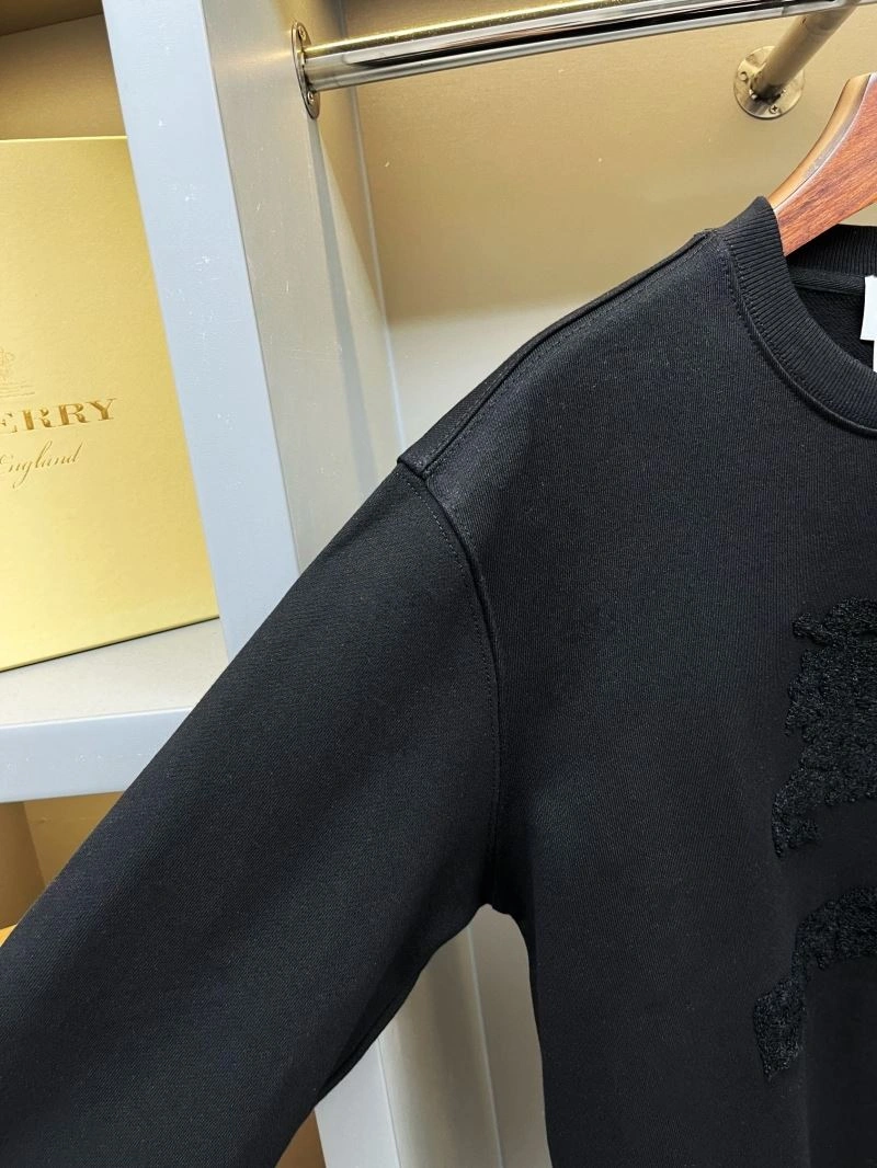 Burberry Hoodies Affordable 103215