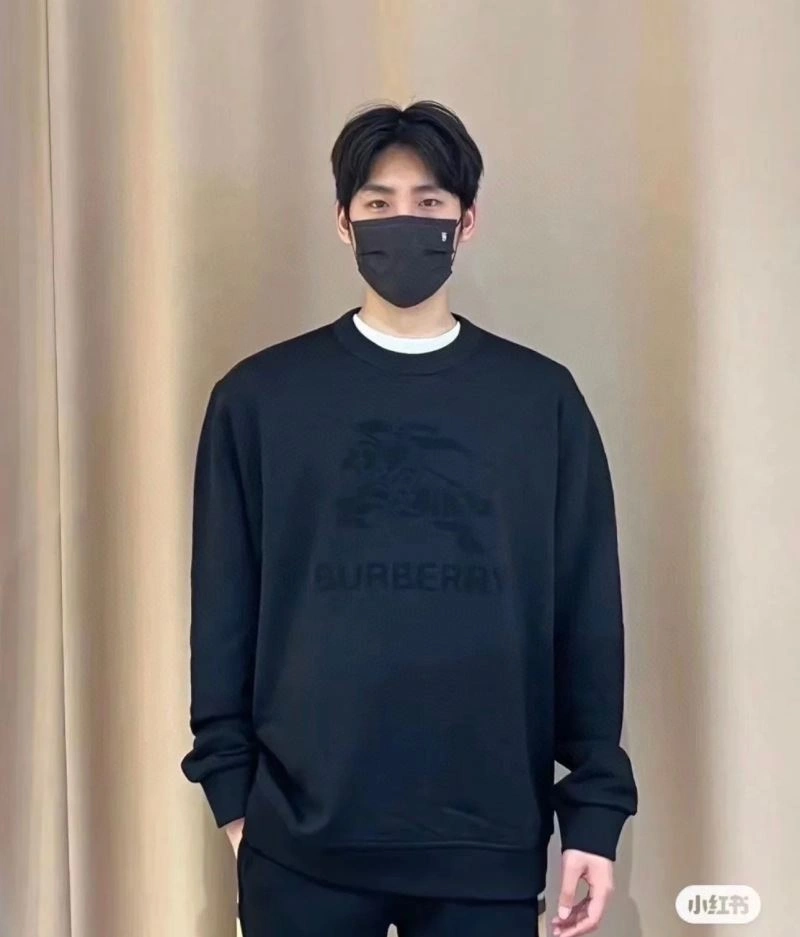 Burberry Hoodies Affordable 103215