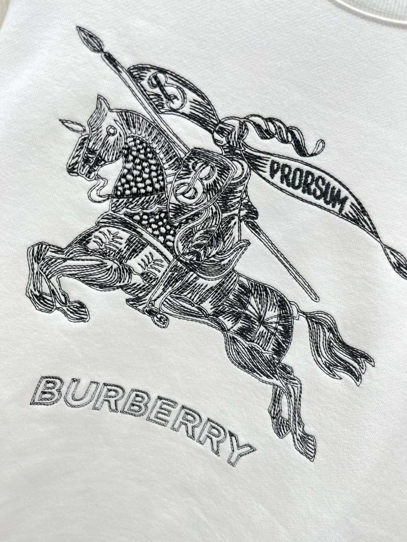 Burberry Hoodies EyeCatching 103240
