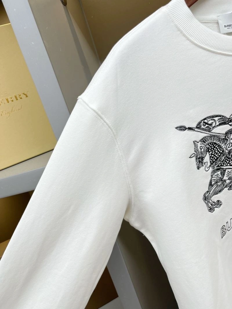 Burberry Hoodies EyeCatching 103240