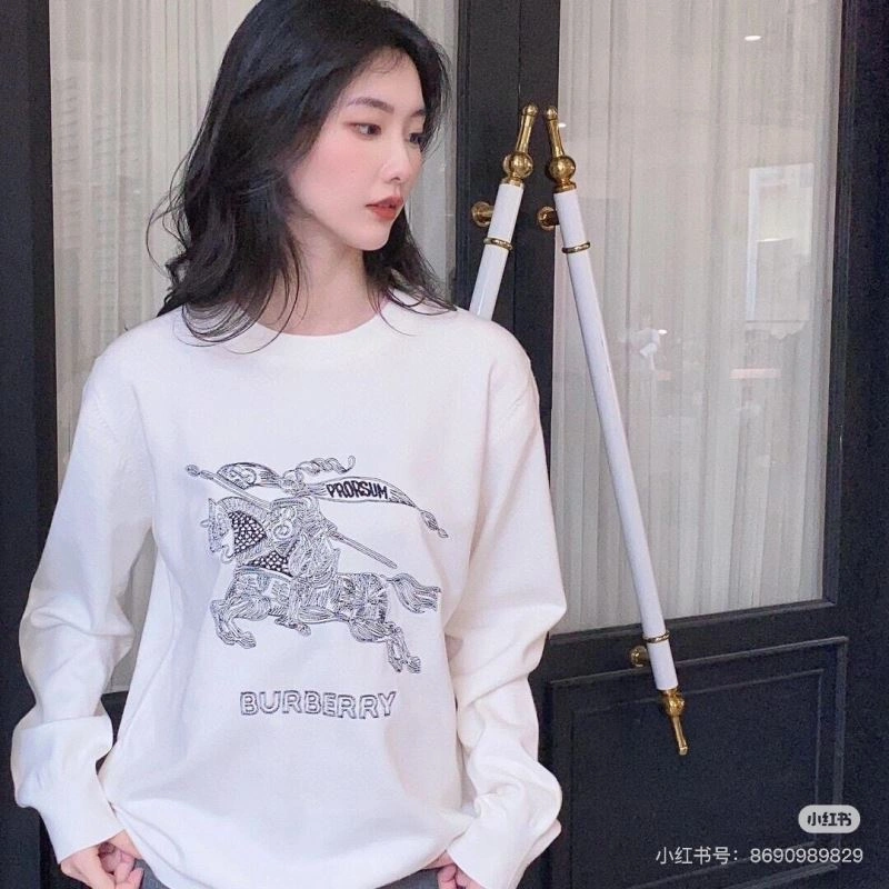 Burberry Hoodies EyeCatching 103240