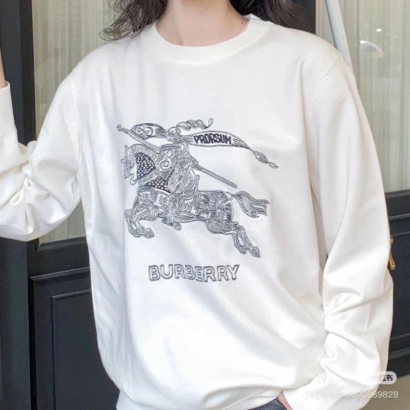Burberry Hoodies EyeCatching 103240