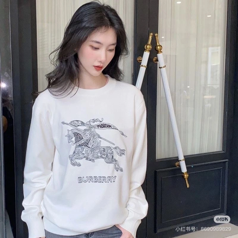 Burberry Hoodies EyeCatching 103240