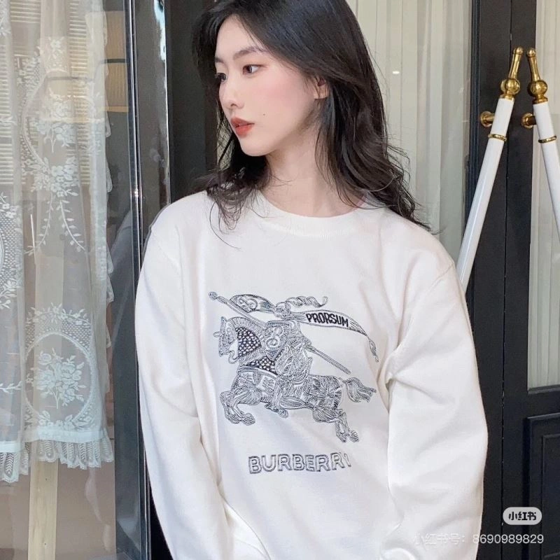 Burberry Hoodies EyeCatching 103240