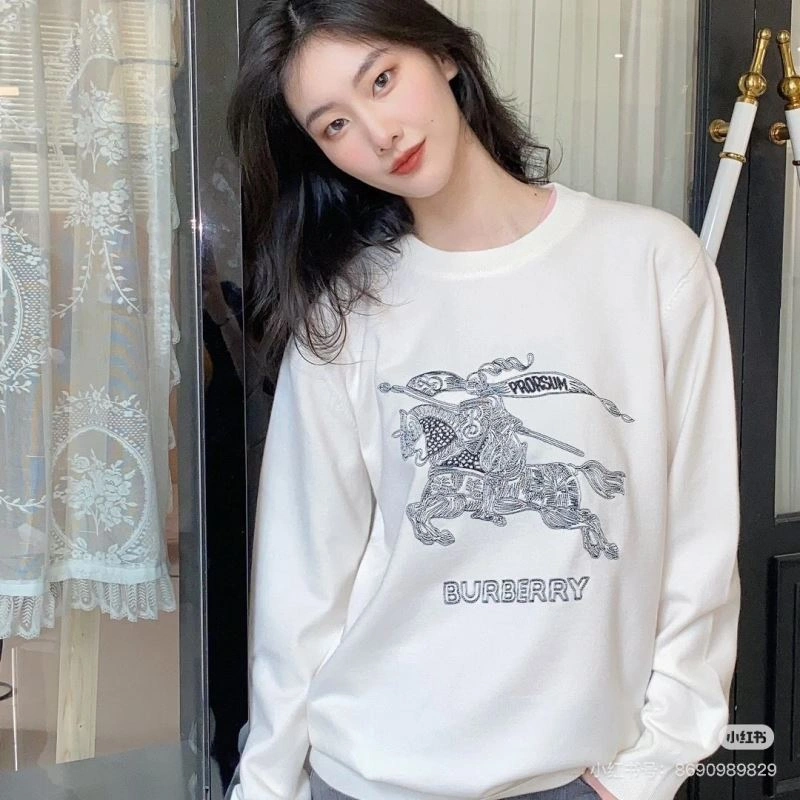 Burberry Hoodies EyeCatching 103240