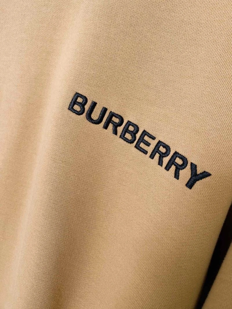WellDesigned Burberry Hoodies 103190