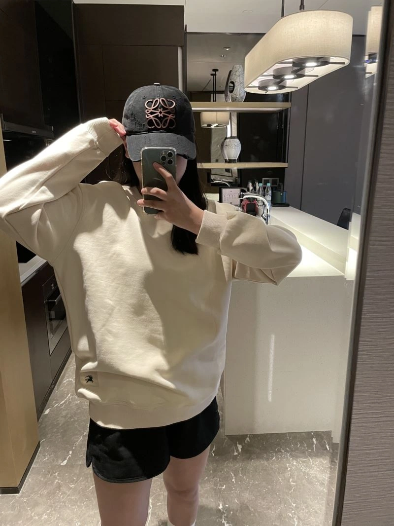 Affordable Burberry Hoodies 103185