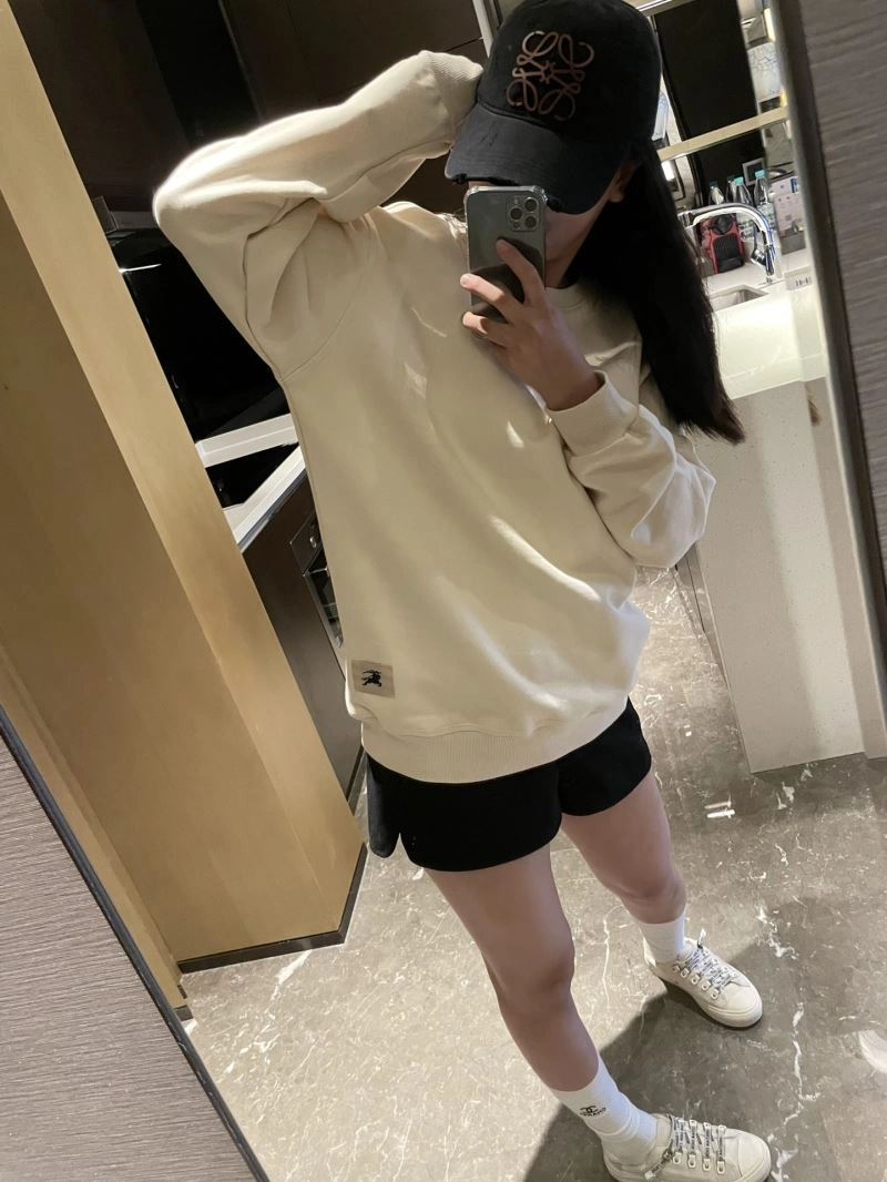 Affordable Burberry Hoodies 103185