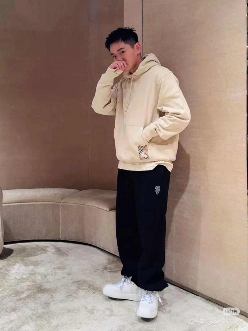 Burberry Hoodies Functional 103253