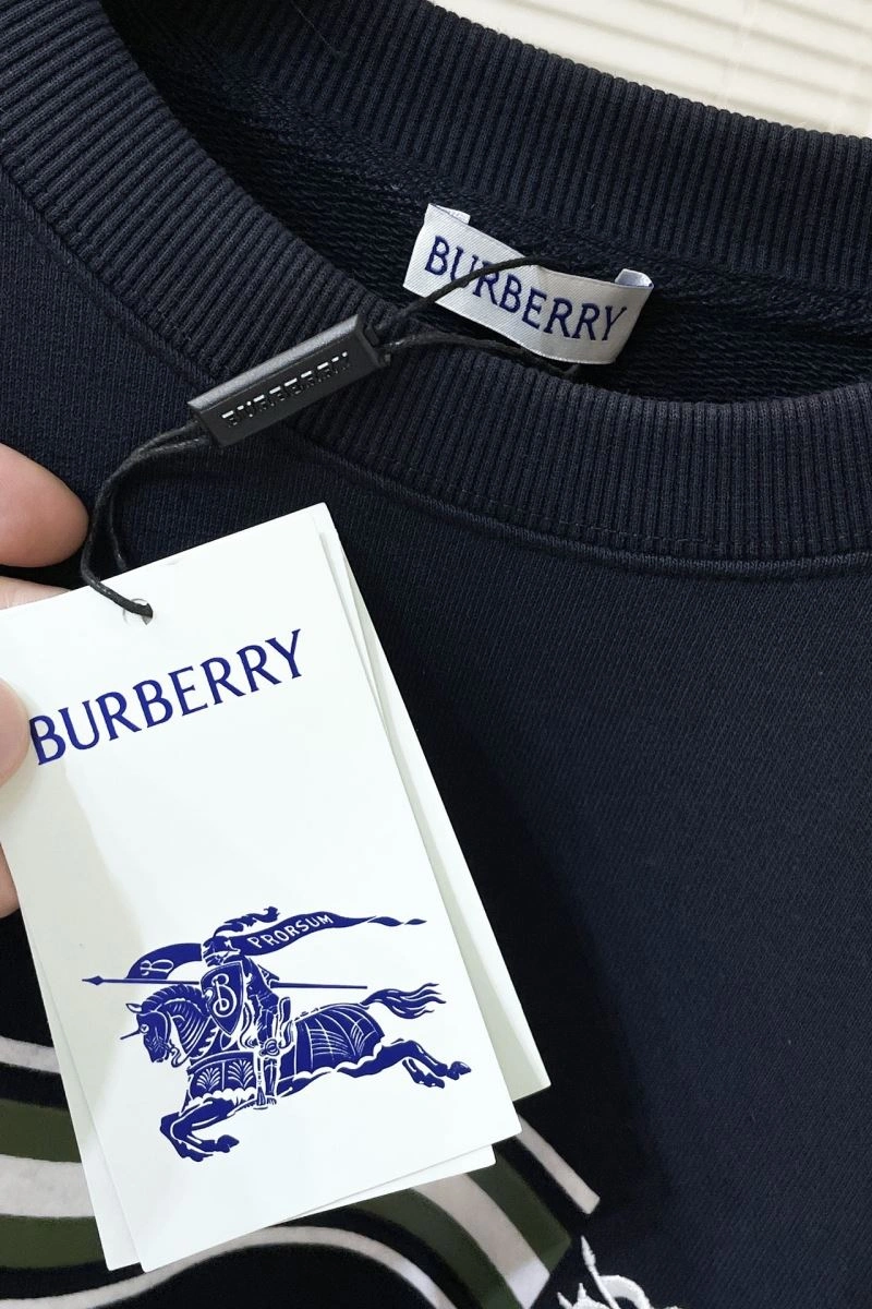 Burberry Hoodies NewStyle 105757