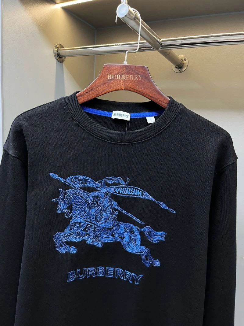 EyeCatching Burberry Hoodies 105721