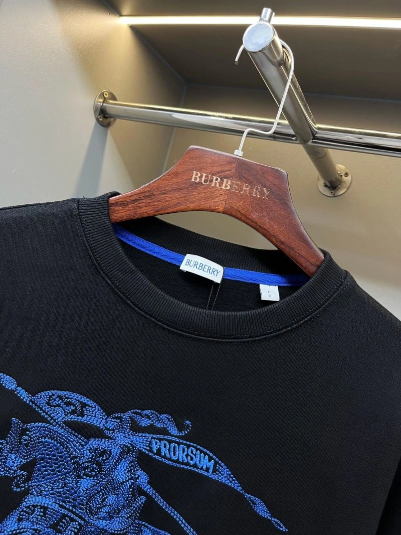 EyeCatching Burberry Hoodies 105721