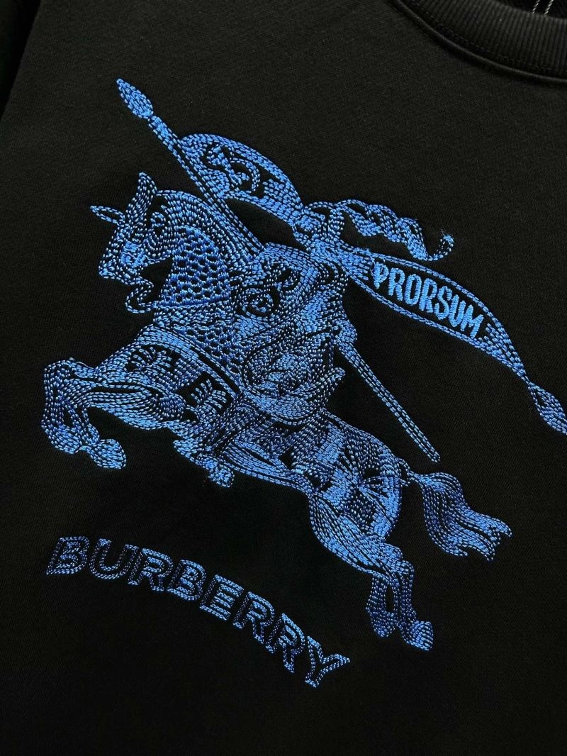 EyeCatching Burberry Hoodies 105721