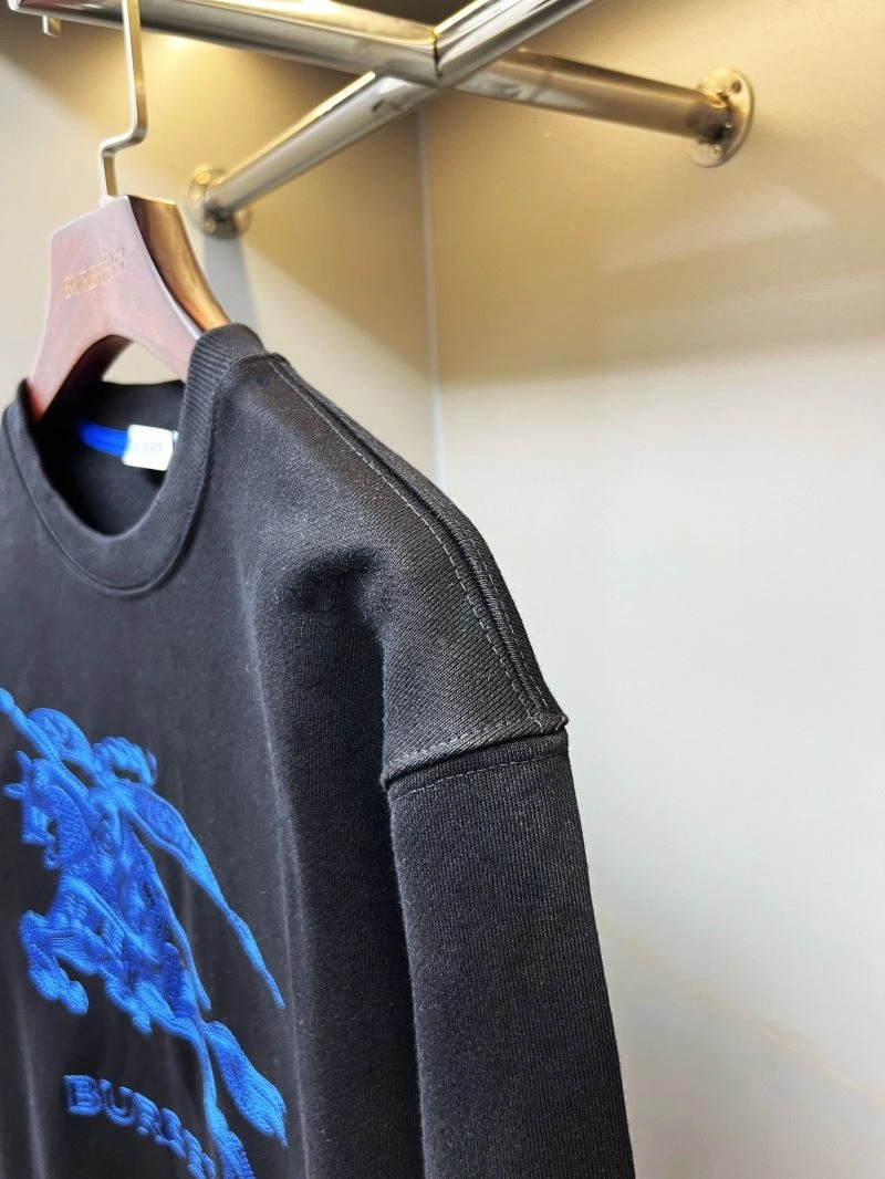 EyeCatching Burberry Hoodies 105721